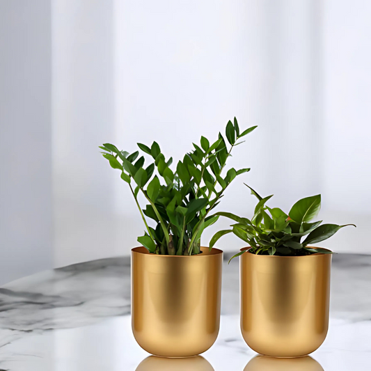 Premium Gold Flower Pot – Modern Matte Finish, Durable Indoor Planter for Home & Office Décor ( Set Of 2 )